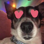Maximus Harding - Facebook