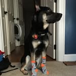 Maximus Hill - @maximus.hill - Instagram