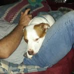 Maximus Hill - Facebook