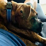 Maximus Hill - @maximushill2 - Instagram