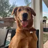 Hunter Maximus - @itshuntermaximus - TikTok