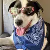 Hunters Life - @huntermaximus19 - TikTok