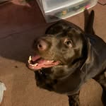 Maximus_Hunter - @_maximushunter - Instagram
