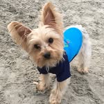 Maximus Hunter Iannace - @maximus_hunter - Instagram