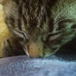 Maximus Hunter Mickley - @maximus_hunter_ - Instagram