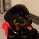 Maximus Hero Jackson - @maximusherojackson - Instagram