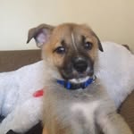 Maximus Jackson - @maximus_jackson - Instagram