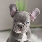 Maximus Jacobs - @themadmax_j - Instagram