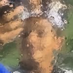 Maximus Jacobs - @max_jacobs209 - Instagram