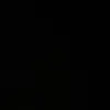 Maximus Johnston - @maximus.johnston - TikTok