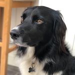 MWilliams - @maximus_king___ - Instagram