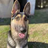Maximus Lee - @maximus_lee - TikTok