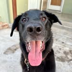 Maximus Lee Carmona-Schiller - @maximus__xvii - Instagram