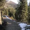 maximuslee18 - @maximuslee18 - TikTok