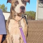 Maximus Lyons - Facebook
