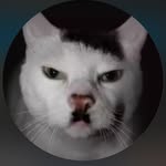 maximus - @maximus_macias03 - Instagram