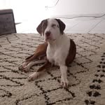 Maximus macias - @maximus3716 - Instagram