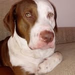 Maximus macias - @maxbuda_81 - Instagram