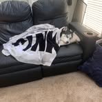 Maximus Marshall - Facebook