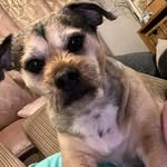 Maximus marshall - @maximus_marshall_ - Instagram