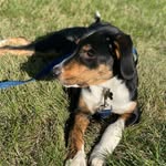 Maximus Marshall - @mixedmaximus - Instagram