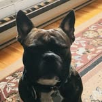 Maximus maxwell - @maximusmaxwell72 - Instagram