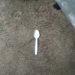 JulioEat SpaghettiOs - @maximusmayfield1 - Instagram