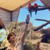 maximusmay1 - @maximusmay1 - TikTok