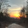 maybe_maximus - @maybe_maximus - TikTok