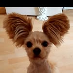 Maximus McCarthy - @maximummccarthy - Instagram