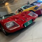 @maximusmirandaesouza - Instagram