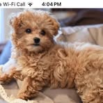 Maximus Moore - Facebook