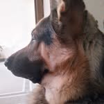 Maximus moore - @maximusmoore_ - Instagram