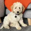 Maximus Moore - @max.moore4 - TikTok