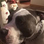 MaximusMoore - @madmax4132011 - Instagram