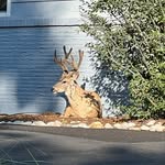 @maximus_moreno35 - Instagram