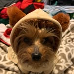 Maximus Moreno - @maximus_maximito - Instagram