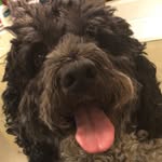 Maximus Morris - @mr.maximus_himself - Instagram