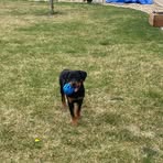 Maximus Morrison - Facebook