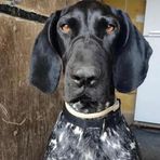 Maximus Moses - Facebook