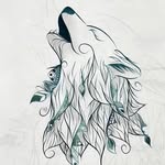Maximus Moses - @alphawolf1234567898 - Instagram