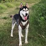 Maximus Muñoz - @max.muz55 - Instagram