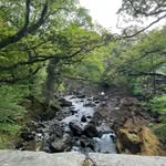 Williambarrta - @maximus_murphy1624 - Instagram