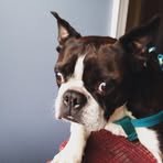 Maxamus Murray - Facebook
