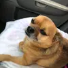 Maximus & Patrick - @i_am_maximus12 - TikTok