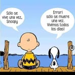 Maximus Patrick Shumbeyker - Facebook