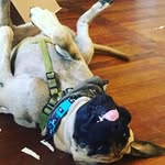 Maximus Vincenzo Ramos - @maximus.vincenzo - Instagram