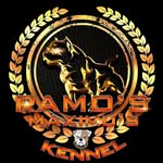 Ramos Maximos Kennels - @ramos_maximus_kennel - Instagram