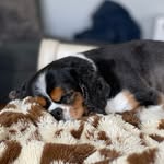Max - @maximus_ray3 - Instagram