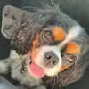 Max - @maximus_ray - TikTok